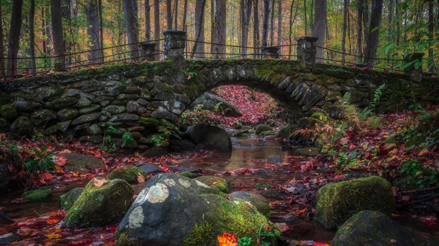 Season 4 will also be available for streaming online.